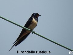 2018-06-16-Vierzon (44)